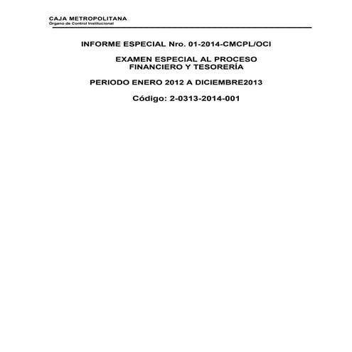 Informe final caja (1)