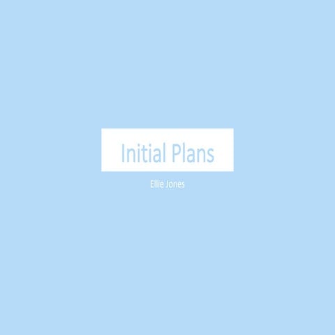 Initial plans(1)