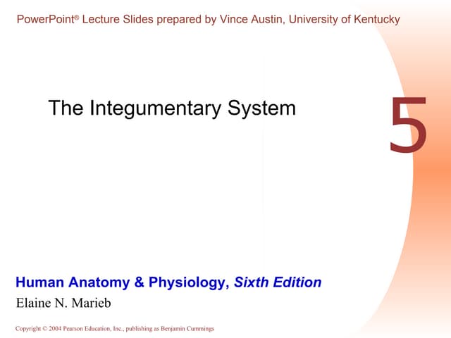 Integumentary system