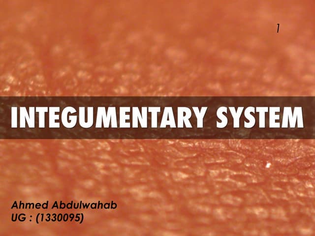 Integumentary system