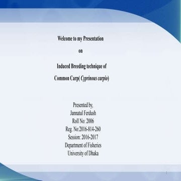 Internship presentation.pptx