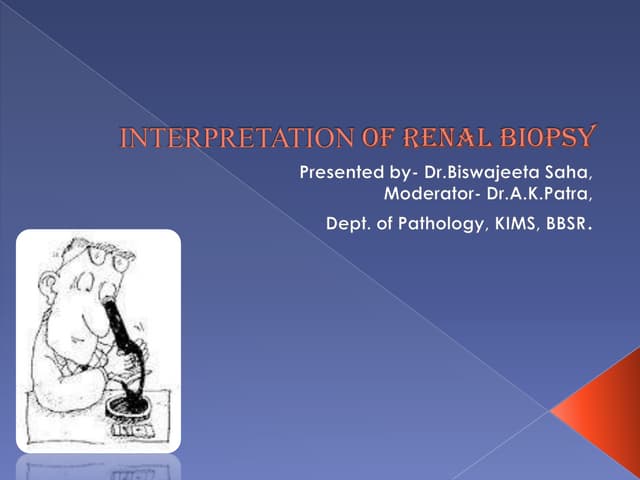 Interpretation of renal biopsy