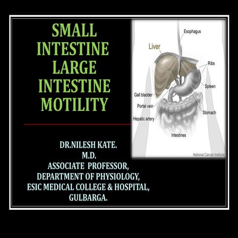 INTESTINE MOTILITY