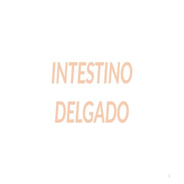 INTESTINO DELGADO ANATOMIA Y FISIOPATOLOGIA.pptx