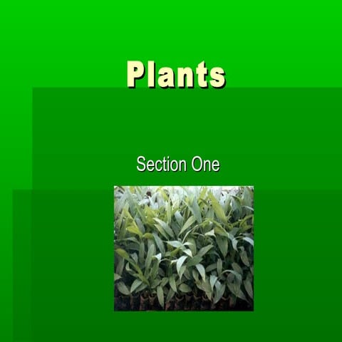 Introduction to plants 1233859493415311-3