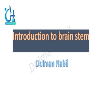 Introduction to brain stem.pdfffffffffffff