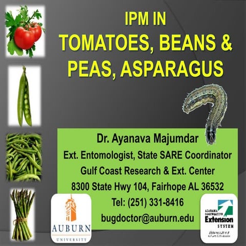 IPM In Tomatoes Peas Beans Asparagus Afvga2010