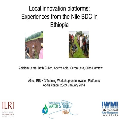 Local innovation platforms: Experiences from the Nile BDC in Ethiopia