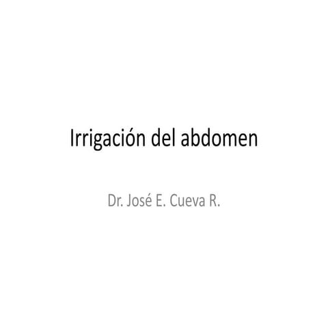 Irrigación del abdomen