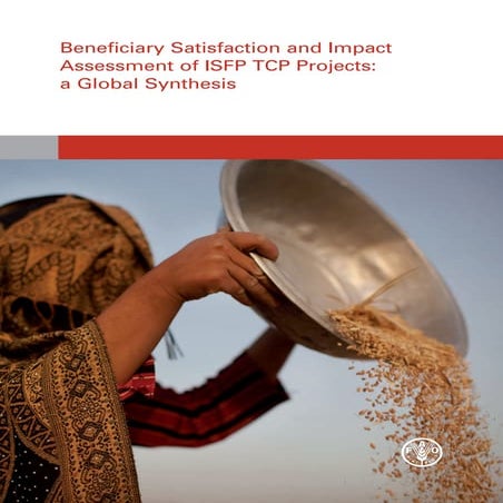 Isfp report 2010_web