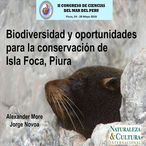 Isla Foca   concimar2010s