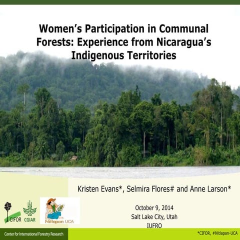 Women's participation in communal forests: experience from Nicaragua's indige...