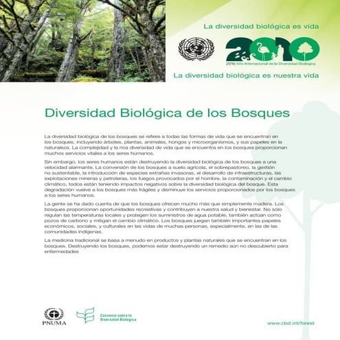 Iyb cbd-factsheet-forest-es
