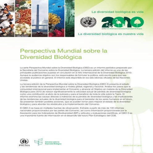 Iyb cbd-factsheet-gbo-es