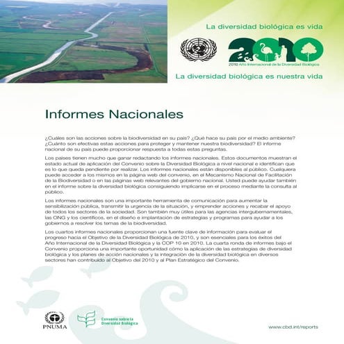 Iyb cbd-factsheet-nr-es