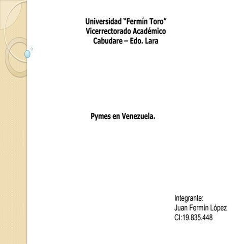 Mapa Conceptual ( Pymes)