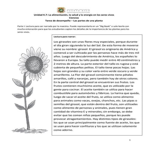 K.7 tarea de desempeño   las partes de una planta