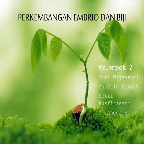 PPT Embriologi Tumbuhan - Perkembangan Embrio dan Biji