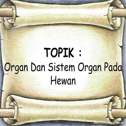 ORGAN PADA HEWAN