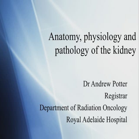 Kidney anatomy physiology