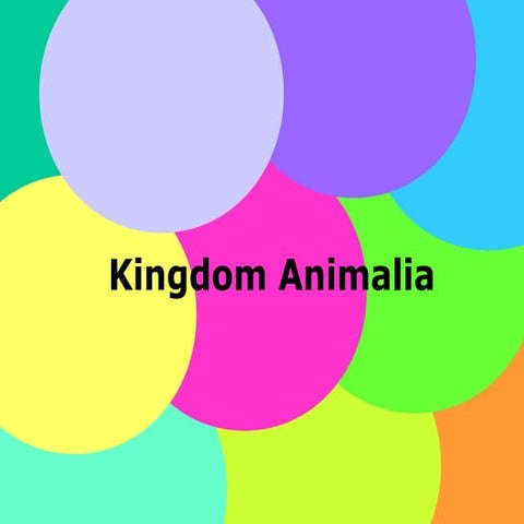Kingdom animalia
