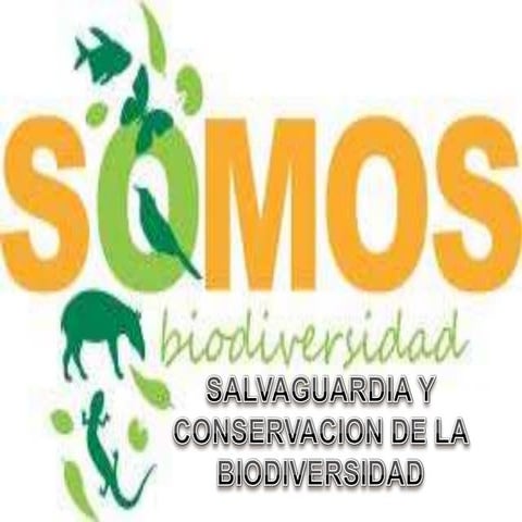 Salvaguardia y Conservacion de la Biodiversidad
