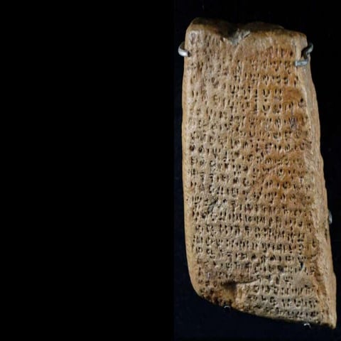 Netti kaikkien kansalaisten arjessa