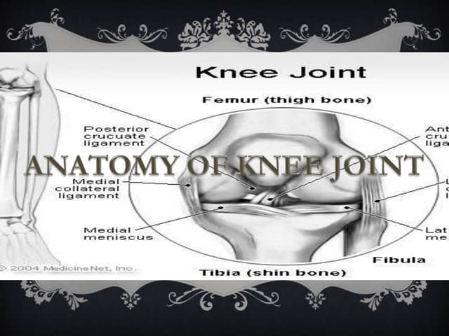 Knee joint