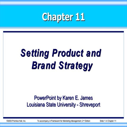 Setting Product and Brand Strategy