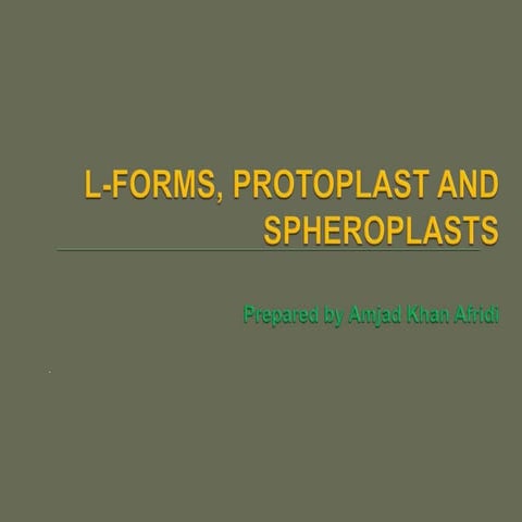 L-forms bacteria, protoplast and spheroplasts Bacteria