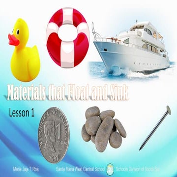 Materials that Float and Sink