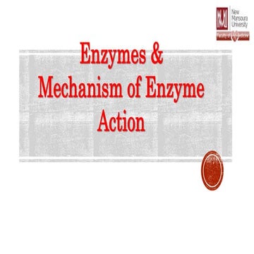 L4 Enzymes_c0ce65815f13d03a89ba6bc6e59f7ab4.pptx