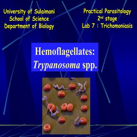 Lab 7  trypanosomiasis