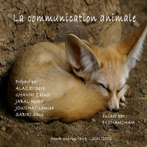 La communication animale