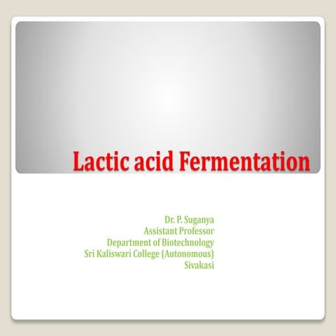 Lactic acid fermentation