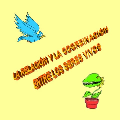 La función de relación (arianne, lorea, daniela, hector y steven)