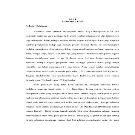 Laporan Budidaya KARET