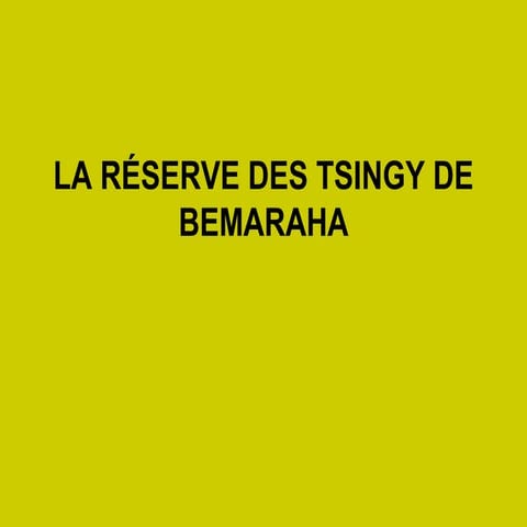La réserve des tsingy de bemaraha