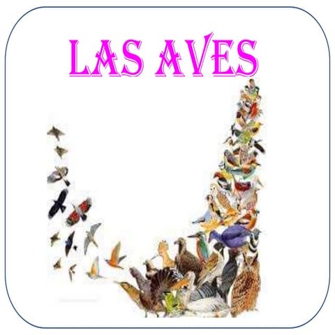 Las aves