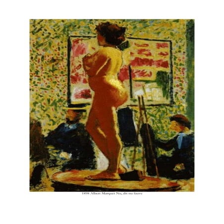 Las colecciones el fauvismo