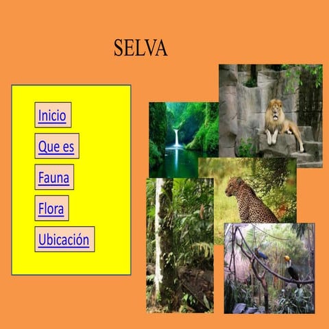 La selva