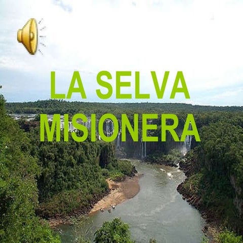 La Selva Misionera