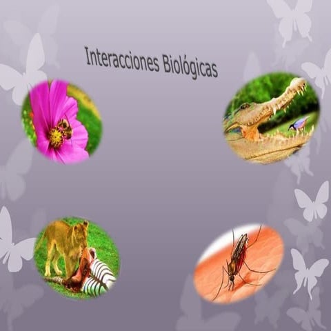 Las interacciones biologicas