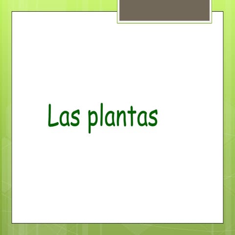 Las plantas