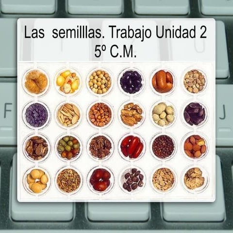 Las semillas. Trabajo fin de Unidad de 5º de Primaria