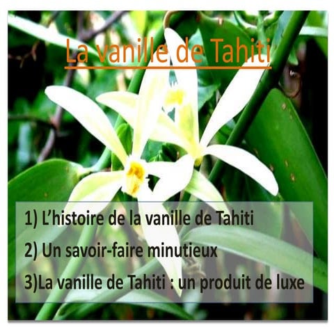 La vanille de tahiti