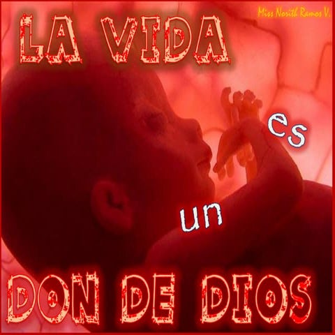 La vida, don de Dios
