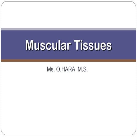 Lect. 8   muscular tissues