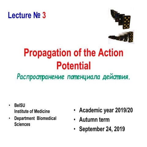Lect. propagation ex. 