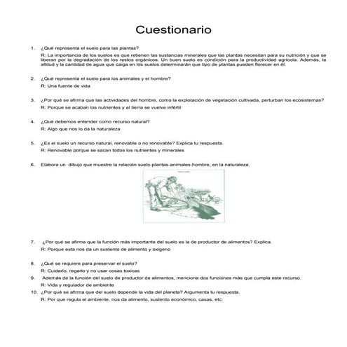 Cuestionario: Sobre el suelo